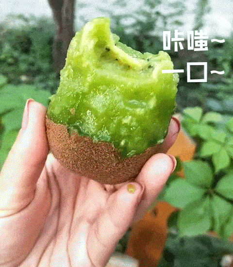 走起！這樣的采摘游玩樂趣千萬別錯過——獼猴桃采摘基地合集